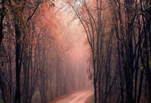 炒股什么叫杠杆:杠杆炒股怎么申请-突然全线重挫！美国宣布：撤销海上风电项目资金！